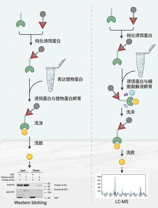 图片6.jpg