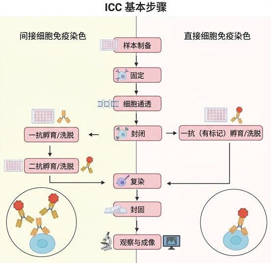 图片9.jpg