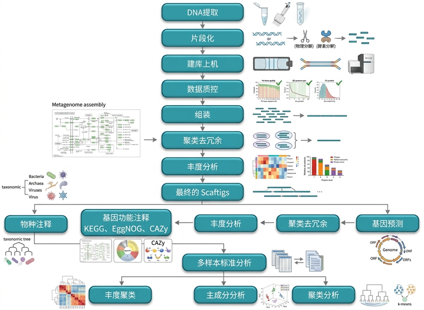 全基因组学.png